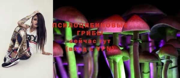 ALPHA-PVP Нязепетровск