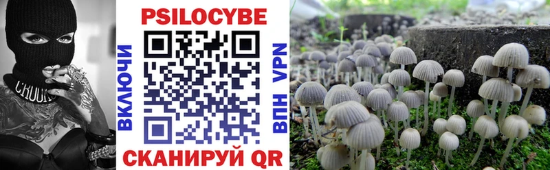 Купить где  Каменка  Псилоцибиновые грибы Psilocybe 